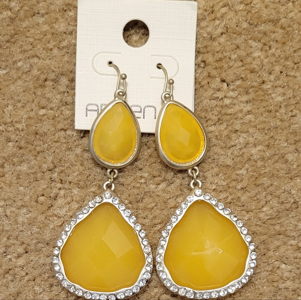 NEW ARDEN B EARRINGS